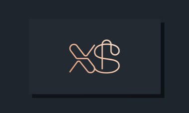 Asgari çizgi çizimleri XS logosu. Bu logo, klipsli yazı karakterinden esinlenilmiş. İlk harfleri hangi şirket ya da markanın başlattığı uygun olacaktır..