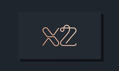 Asgari çizgi çizimleri XZ logosu. Bu logo, klipsli yazı karakterinden esinlenilmiş. İlk harfleri hangi şirket ya da markanın başlattığı uygun olacaktır..