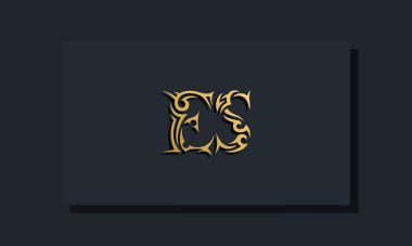 Luxury initial letters ES logo design. It will be use for Restaurant, Royalty, Boutique, Hotel, Heraldic, Jewelry, Fashion and other vector illustration