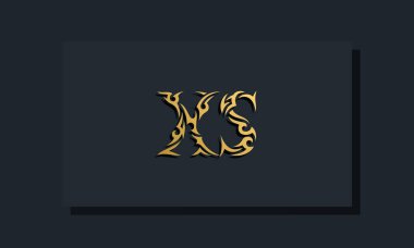 Lüks ilk harfler XS logo tasarımı. Restoran, Kraliyet, Butik, Otel, Heraldik, Mücevher, Moda ve diğer vektör illüstrasyonları için kullanılacak