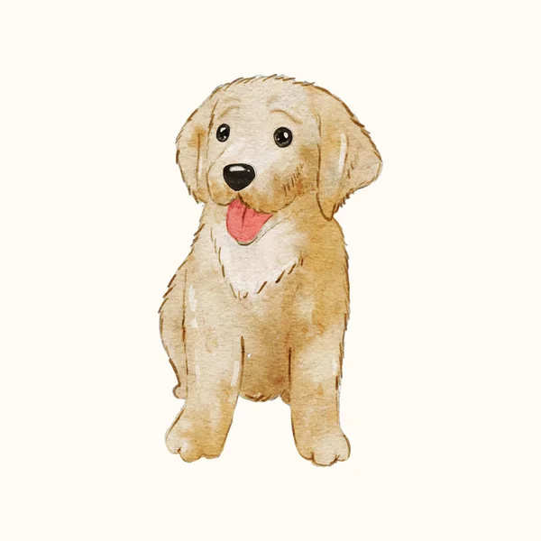 Watercolor Puppy Dog Cute Golden Retriever Labrador Doggy Pet Animal — Stock Vector