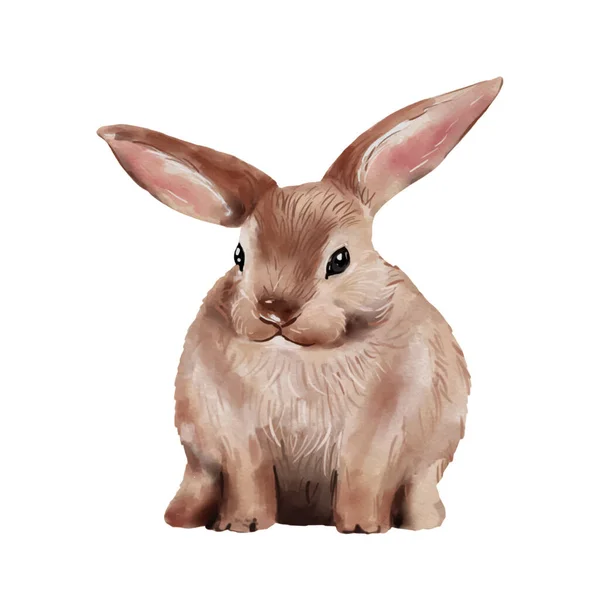 Easter Bunny Watercolor Ilustração Isolada Sobre Fundo Branco Bonito Vetor — Vetor de Stock