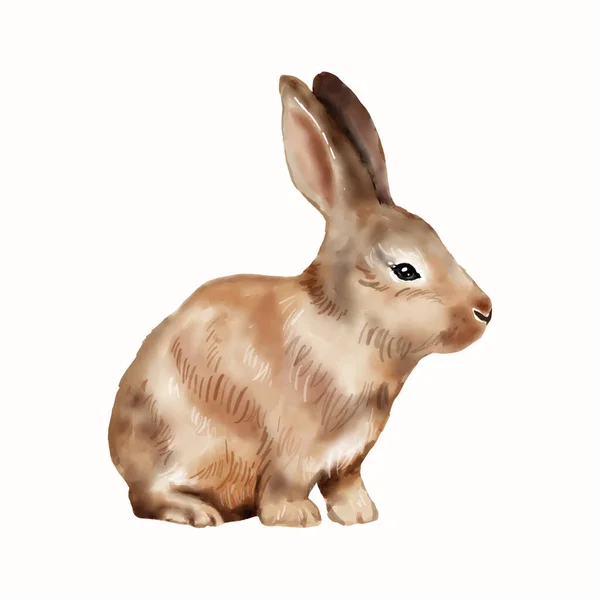 Lapin Pâques Aquarelle Illustration Isolée Sur Fond Blanc Mignon Vecteur — Image vectorielle