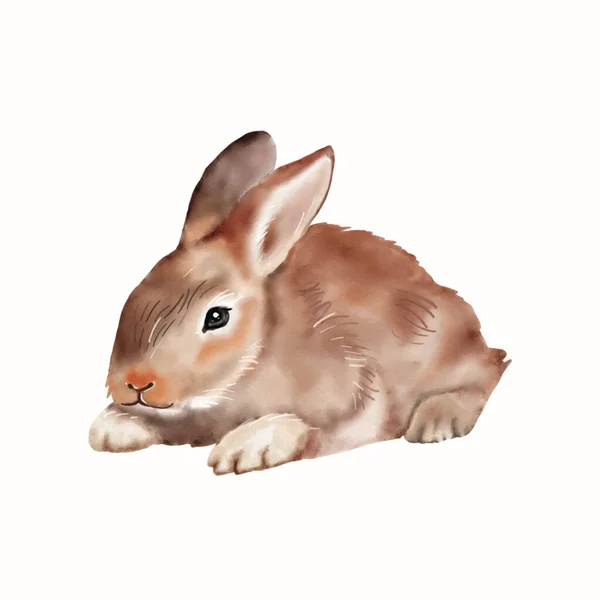 Easter Bunny Watercolor Ilustração Isolada Sobre Fundo Branco Bonito Vetor — Vetor de Stock