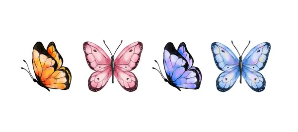 Барвисті Метелики Акварелі Ізольовані Білому Тлі Синій Помаранчевий Фіолетовий Рожевий — стоковий вектор