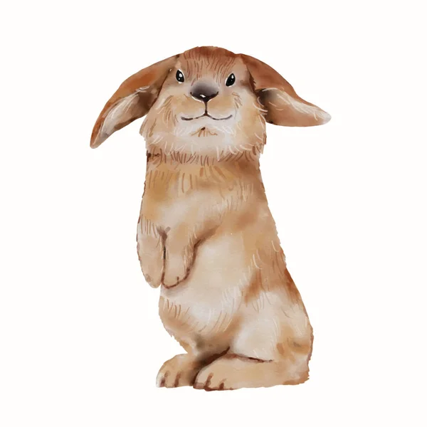 Conejo Pascua Acuarela Ilustración Aislada Sobre Fondo Blanco Lindo Conejo — Archivo Imágenes Vectoriales