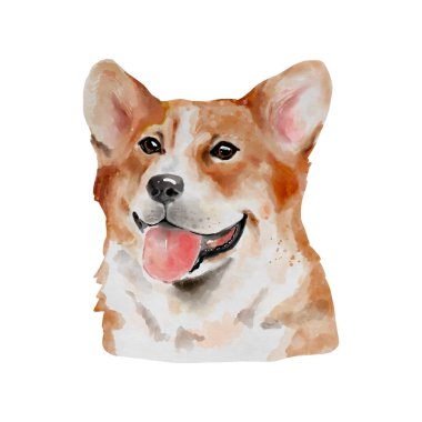 Köpek Welsh Corgi suluboya resim. Beyaz arka planda izole edilmiş sevimli yavru hayvan. Gerçekçi köpek portresi tasviri.