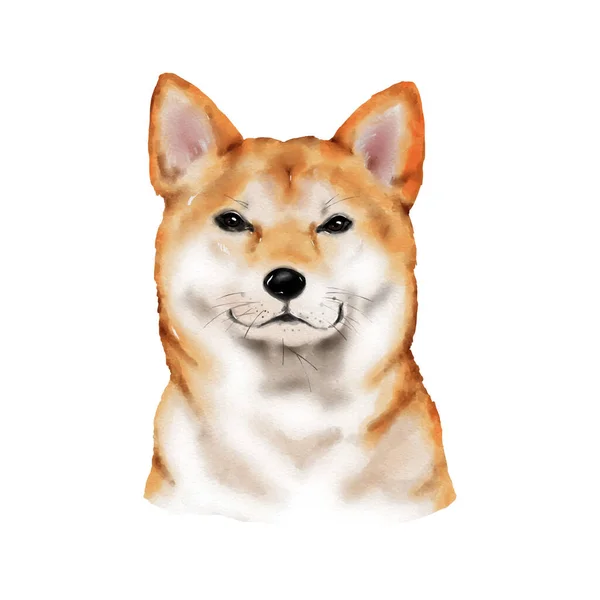 Dog Shiba Inu Aquarellmalerei Entzückendes Welpentier Isoliert Auf Weißem Hintergrund — Stockvektor