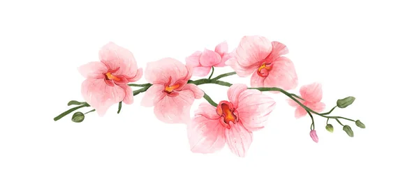 Pink Orchid Watercolor Flower White Background Tropical Flowers Isolated Vintage — Stockvektor