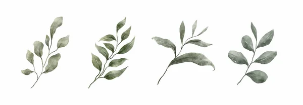 Greenery Leaves Aquarell Hand Gezeichnet Set Aus Grünem Blatt Aquarellstil — Stockvektor