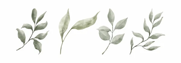 Green Leaves Acquerello Disegnato Mano Set Foglie Verdi Stile Acquerello — Vettoriale Stock