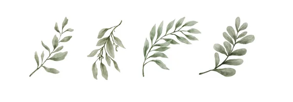 Green Leaves Acquerello Disegnato Mano Set Foglie Verdi Stile Acquerello — Vettoriale Stock