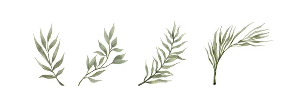 Verdeață Frunze Acuarelă Trase Mână Set Frunze Verzi Stil Acuarelă — Vector de stoc