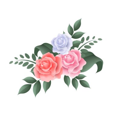 Gerçekçi gül çiçeği vektörü beyaz arkaplanda izole edilmiş. Anneler günü, sevgililer günü ve kadınlar için aşk öğesi. Güzellik pembesi ve kırmızı güller çizim.