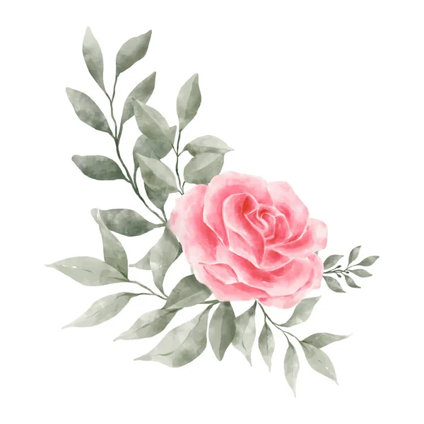 Pink Red Rose Flowers Watercolor Vector Isolated White Background Vintage — Stock Vector