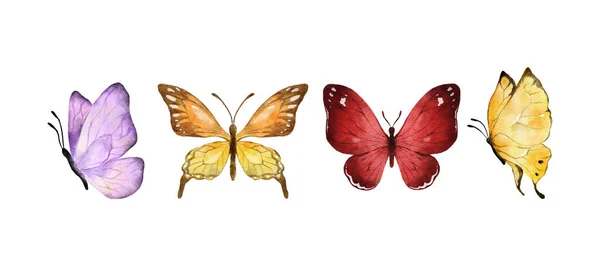 Kolorowe Motyle Akwarela Izolowane Białym Tle Fioletowy Pomarańczowy Żółty Czerwony — Wektor stockowy