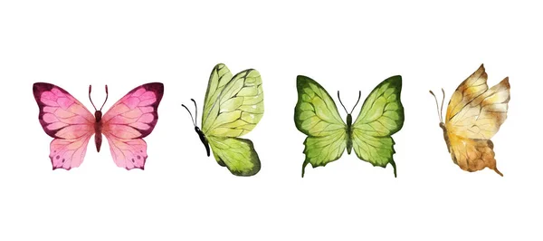Kolorowe Motyle Akwarela Izolowane Białym Tle Różowy Zielony Brązowy Żółty — Wektor stockowy