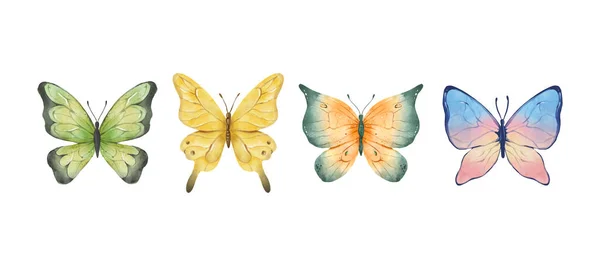 Барвисті Метелики Акварелі Ізольовані Білому Тлі Зелений Жовтий Синій Рожевий — стоковий вектор