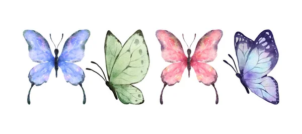 Kolorowe Motyle Akwarela Izolowane Białym Tle Fioletowy Zielony Różowy Niebieski — Wektor stockowy