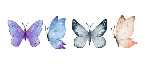 Барвисті Метелики Акварелі Ізольовані Білому Тлі Фіолетовий Синій Сірий Або — стоковий вектор