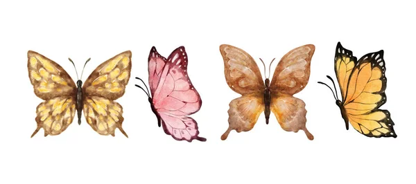 Colorful Butterflies Watercolor Isolated White Background Brown Pink Yellow Orange — Stockvektor
