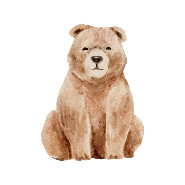 Brun Björnakvarell Viltbjörnen Isolerad Vit Bakgrund Woodland Bear Djur Akvarell — Stock vektor