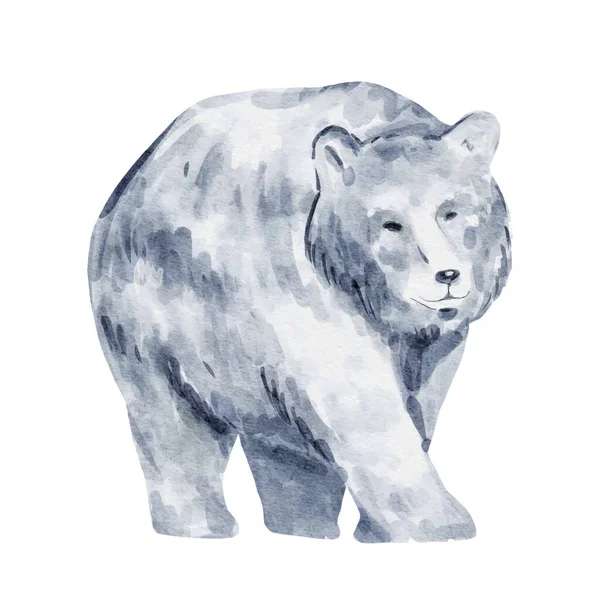 Akwarela Niedźwiedzia Polarnego Izolowana Białym Tle Ilustracja Dzikich Zwierząt Woodland — Wektor stockowy