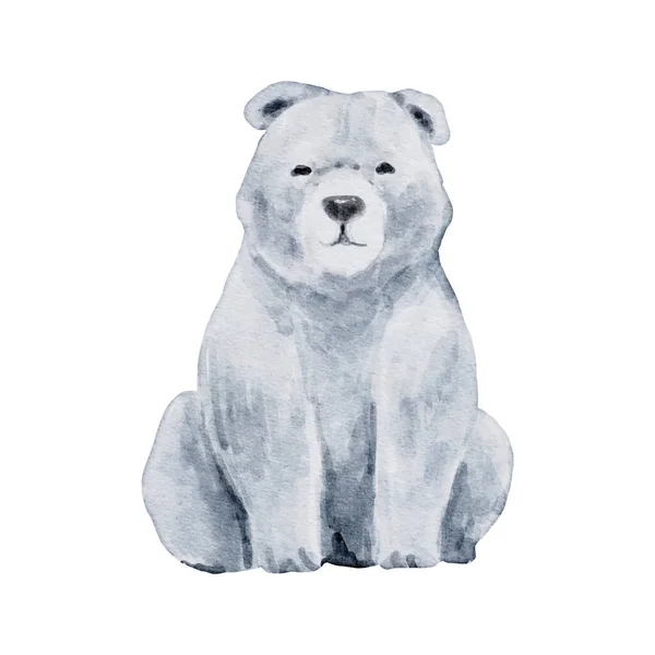 白の背景に隔離された極熊の水彩 野生動物のイラスト ウッドランドクマ水彩ドローイングデザインベクトル — ストックベクタ