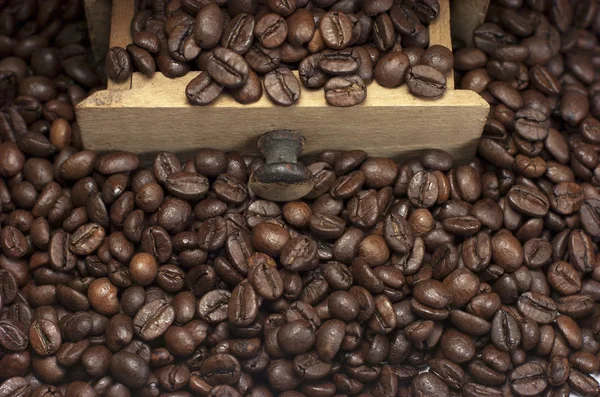 Koffiebonen en koffiemolen — Stockfoto