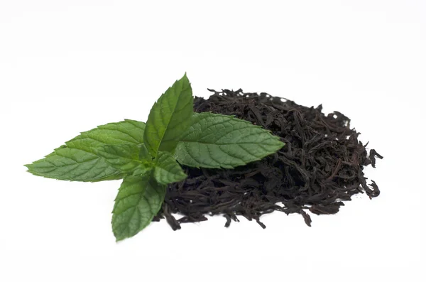 Tea with mint — Stock Photo, Image