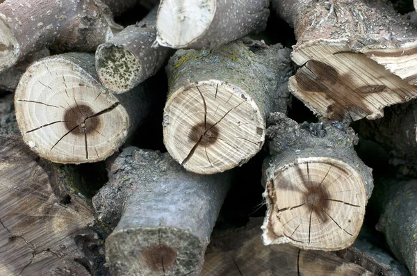 Fondo de madera — Foto de Stock