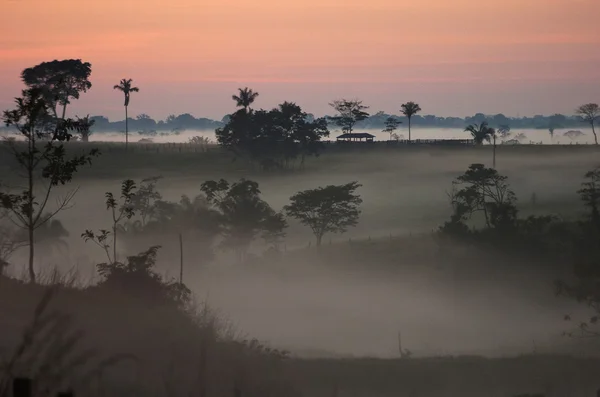manzara. dönüm. Brezilya