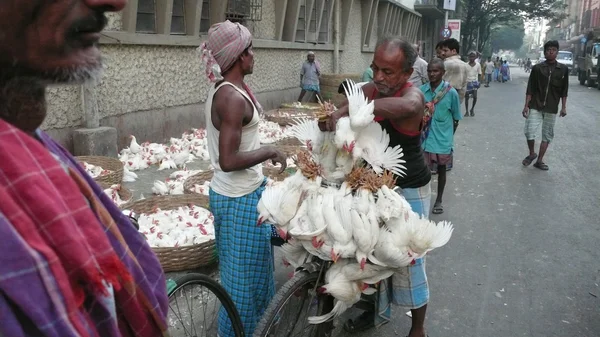 Calcuta. India —  Fotos de Stock