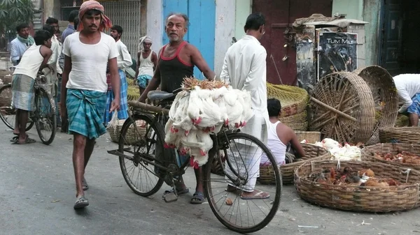 Calcuta. India —  Fotos de Stock