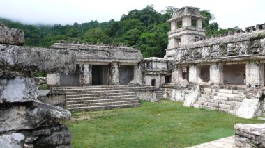 Palenque. Chiapas. Meksika