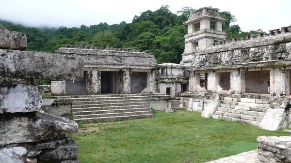 Palenque. Chiapas. Meksika — Stok fotoğraf
