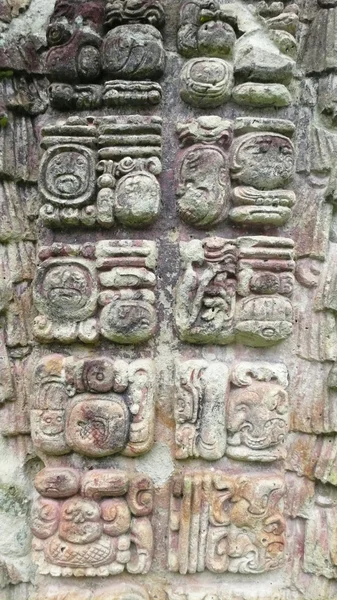 Copan. Honduras — Stockfoto