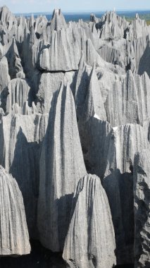 tsingy de bemaraha. Madagaskar