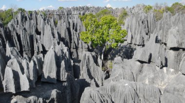 tsingy de bemaraha. Madagaskar