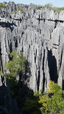 Tsingy de Bemaraha. Madagascar clipart