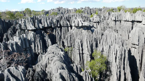 tsingy de bemaraha. Madagaskar