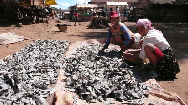 Pescado. Madagascar —  Fotos de Stock