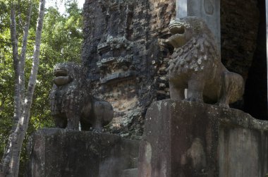 sambor olduğunuzu kuk. Kamboçya