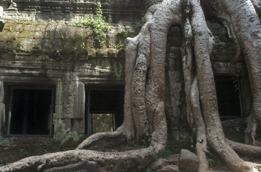 Angkor wat. Siem reap. Kamboçya