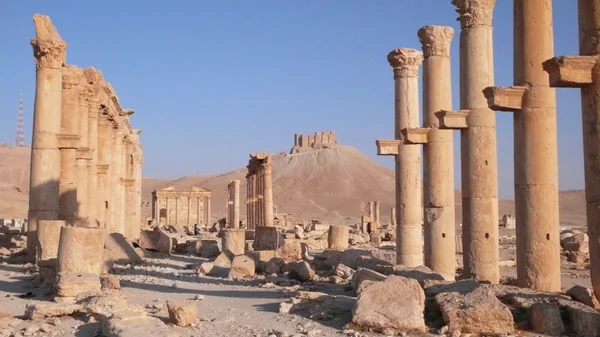 Palmyra. Szíria — Stock Fotó