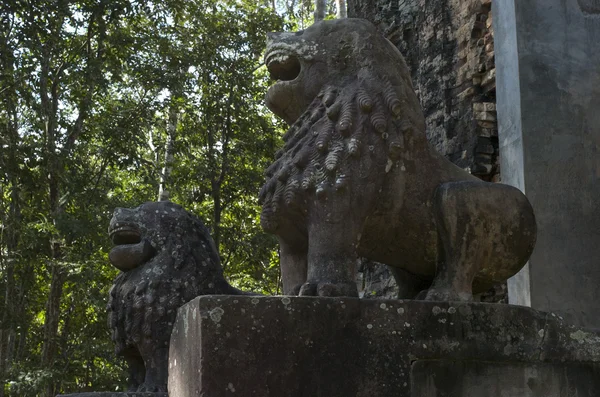 Sambor prei kuk. Cambodja — Stockfoto