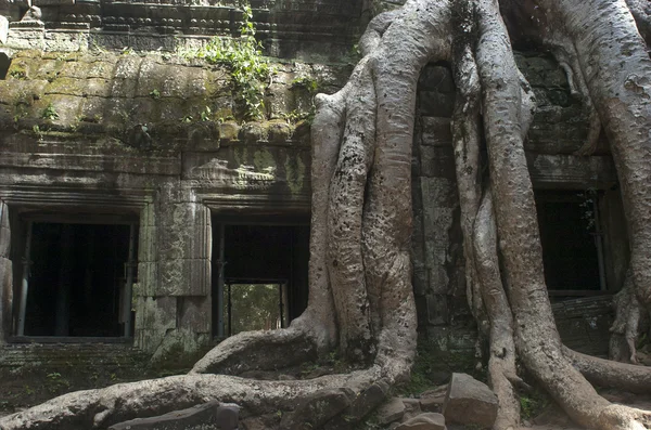 Angkor wat. Το Siem συγκεντρώνει. Καμπότζη — Φωτογραφία Αρχείου