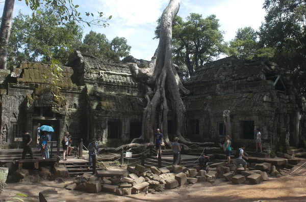 Angkor wat. siem ernten. Kambodscha — Stockfoto