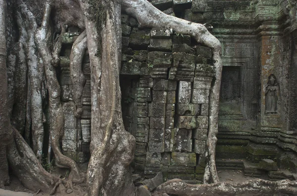 Ангкор Ват. Пожинаем. Камбоджа — стоковое фото