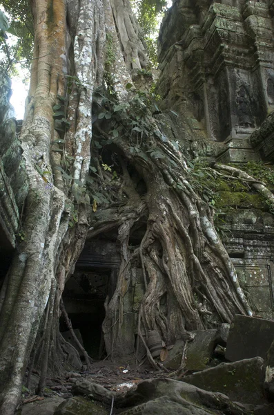Angkor Wat. Siem Reap. Cambodia — Stock Photo, Image